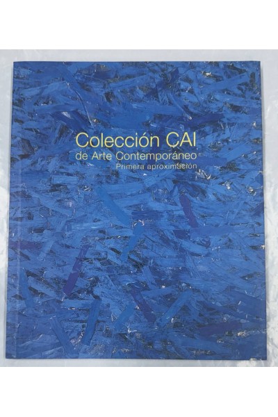 COLECCIÓN CAI DE ARTE CONTEMPORÁNEO PRIMERA APROXIMACIÓN